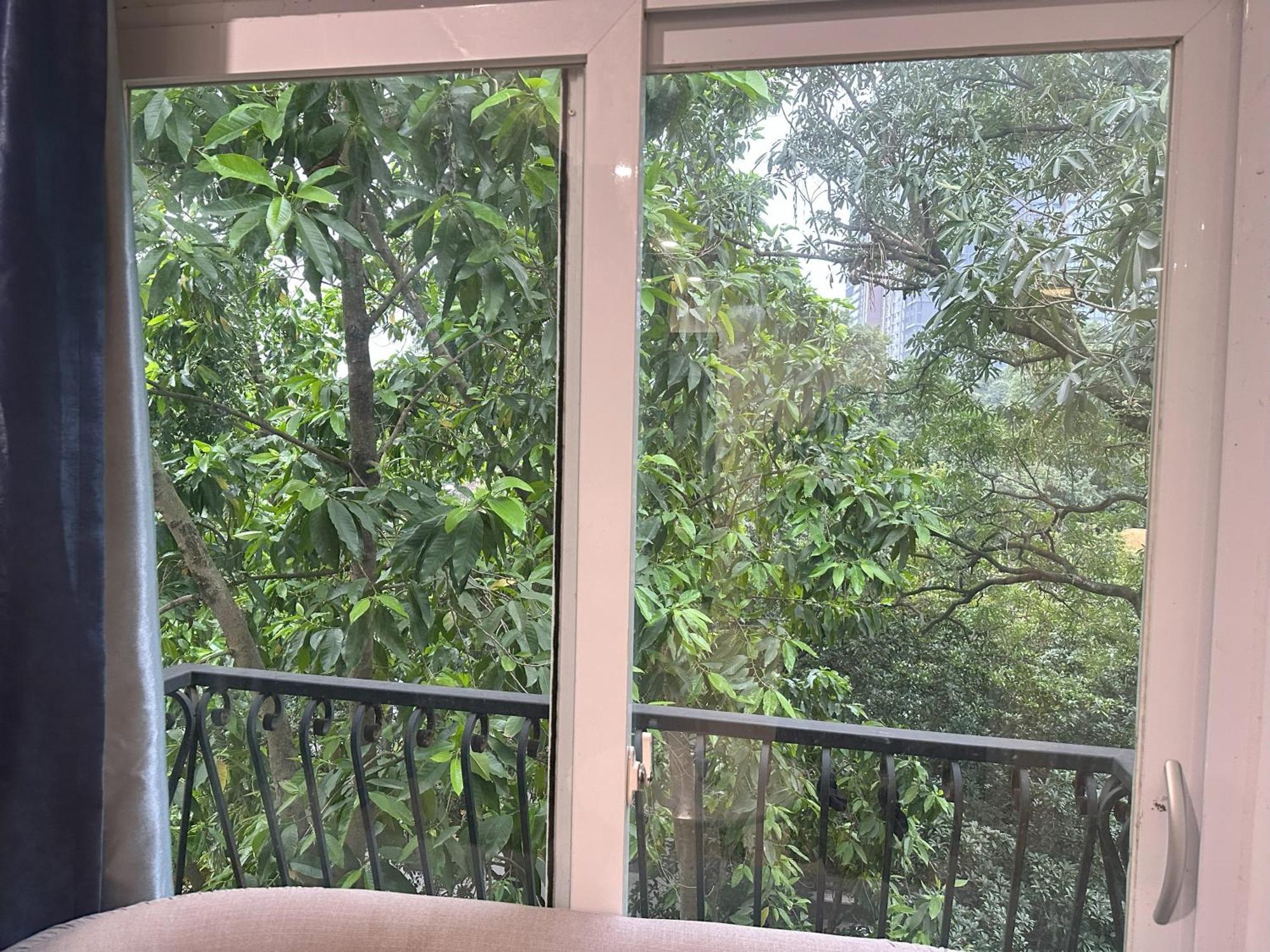 The Lakeview - West Lake Lotus Apartments هانوي المظهر الخارجي الصورة